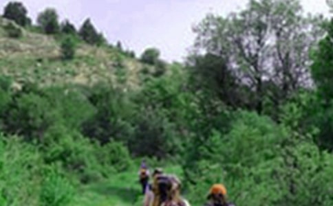 五一的爬山作文4篇