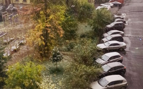 下雪啦写景作文350字