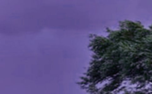 记忆深刻的山竹台风作文