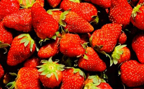 水果拼盘三年级作文（精选15篇）