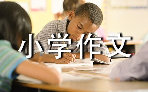 公正让我别无选择小学作文600字