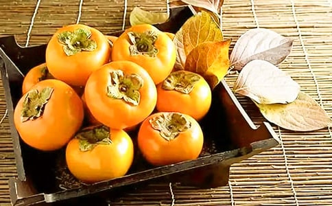 柿子树开花中学生作文