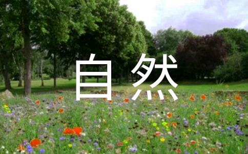 奇妙的大自然作文精选