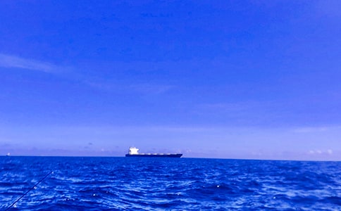 大海让我陶醉优秀作文750字