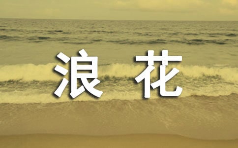 心海里的'那朵浪花优秀作文900字