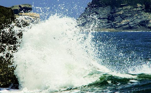 心底那朵浪花七年级作文