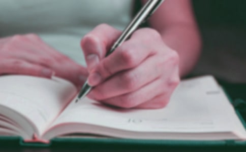 深圳游记500字作文三篇