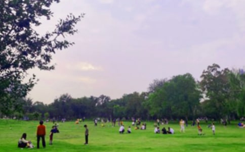 大连星海公园作文精选