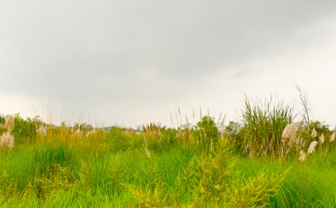 《走进和谐的春天》读后感作文250字