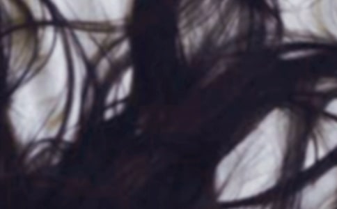 爸爸的头发作文