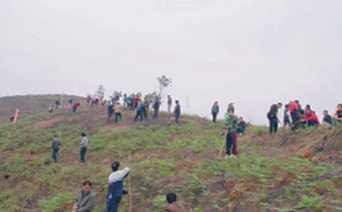 第一次扫墓作文450字