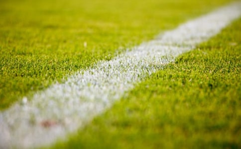 春天的操场一角作文