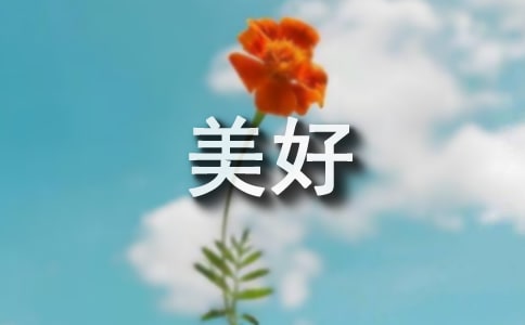 美好的记忆优秀作文600字