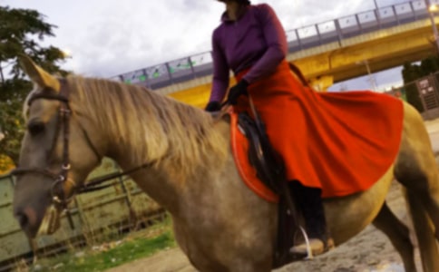 【精华】骑马的作文300字十篇