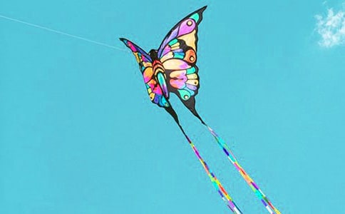 与风筝度过的时光初中作文