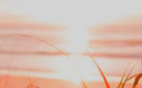 破除黑夜诅咒唤起永恒的黎明作文