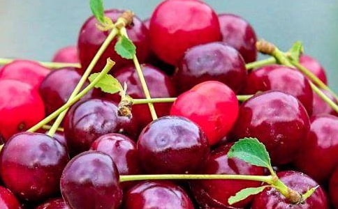 别开生面的水果拼盘作文