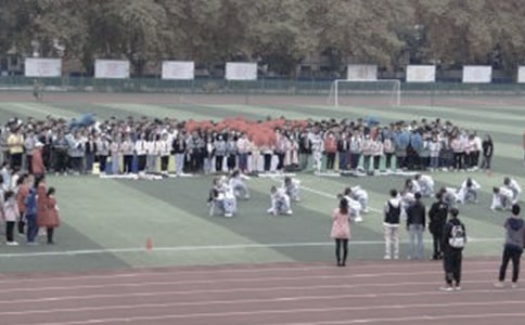 大操场的变化作文