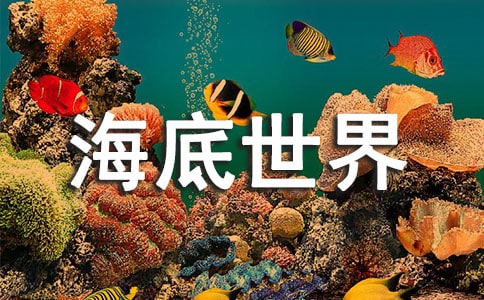 《游青岛海底世界》作文500字