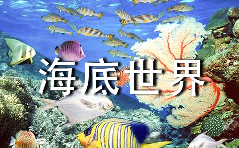 青岛的海底世界小学六年级作文