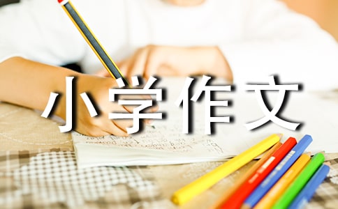 苗族的民风民俗小学作文