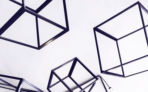 伪装的艺术作文400字