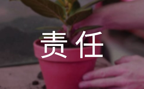责任心的光芒优秀作文