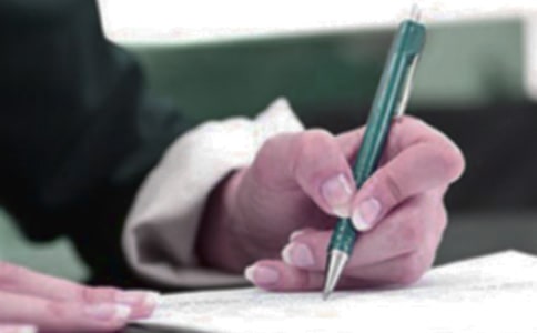 可爱的流浪猫作文