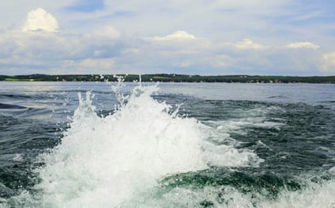 一朵美丽的浪花作文8篇