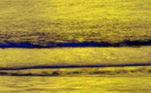 香港美景的优秀作文