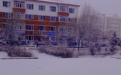 冬日的温暖的初中作文