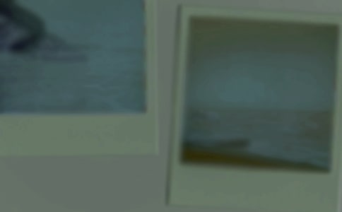 我喜欢的.一张照片叙事作文