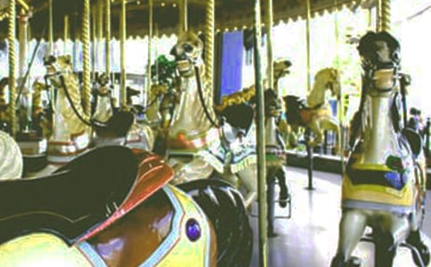 旋转木马的叙事作文