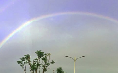 梦想,或许在彩虹之间作文800字