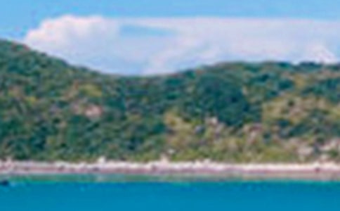 描写银杏湖景色的作文