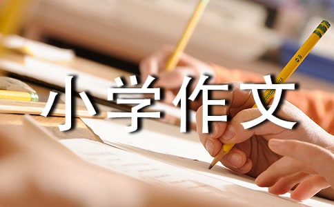 雨悟小学作文700字