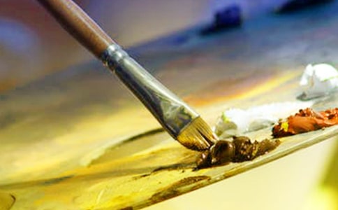 芭蕾残酷而又优雅的艺术的叙事作文