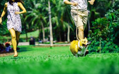 周末趣事作文15篇