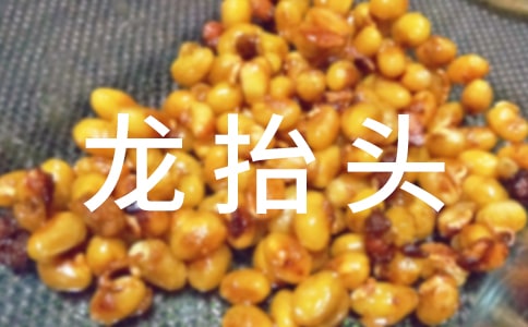 有关二月二龙抬头习俗的作文800字