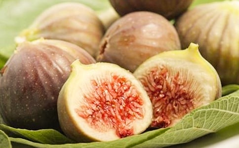 无花果树四年级作文