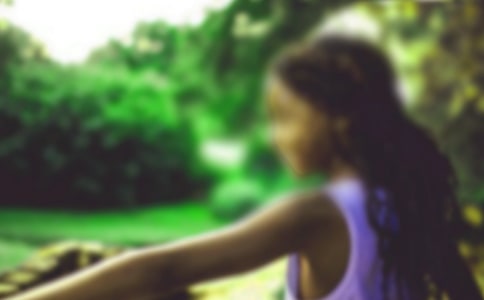 松树下的女孩作文