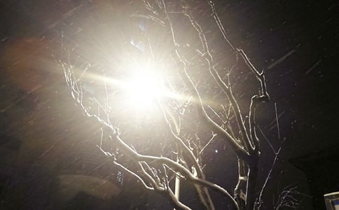 寒假下雪的优秀作文