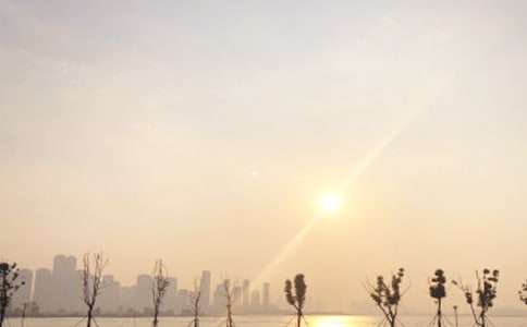 黄山日出作文(合集15篇)