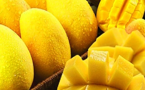 关于芒果花作文