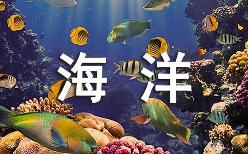 未来的海洋作文300字5篇