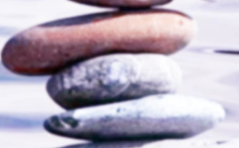 保护和平，珍爱生命四年级作文500字