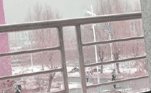 风雪无情,人有情作文