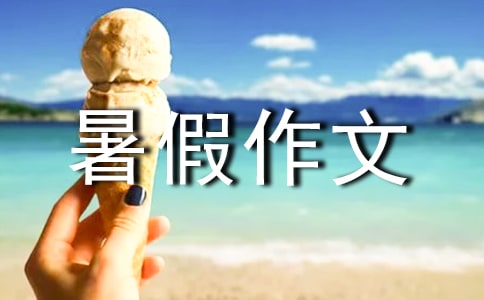 【精选】暑假作文作文三篇