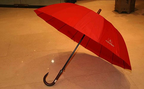 开在雨伞上的三角花作文