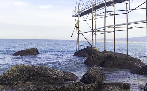 看大海作文集锦15篇